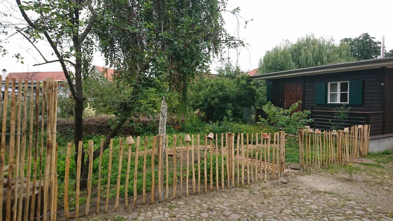 Huette Mit Herz Im Harz Apartamento Meisdorf Exterior foto