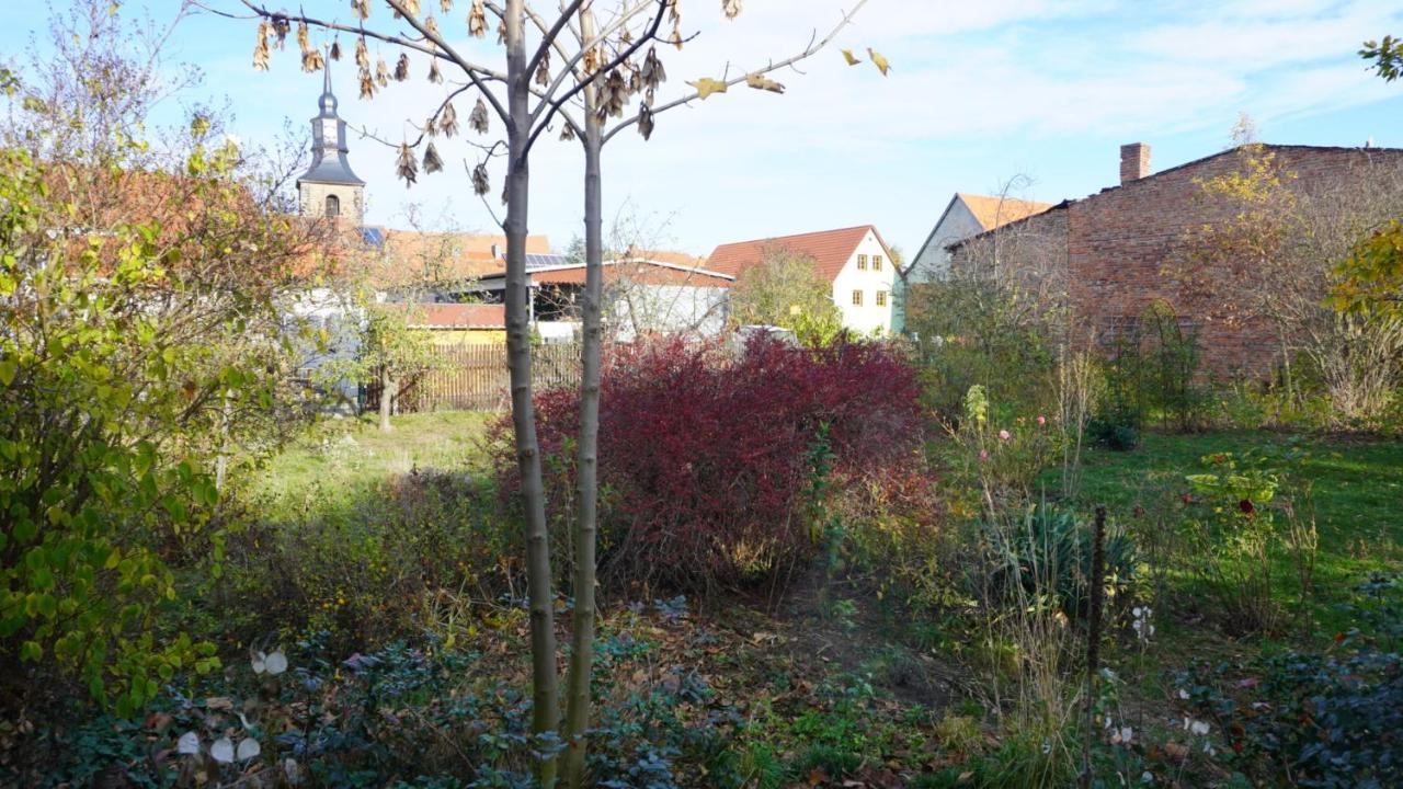 Huette Mit Herz Im Harz Apartamento Meisdorf Exterior foto